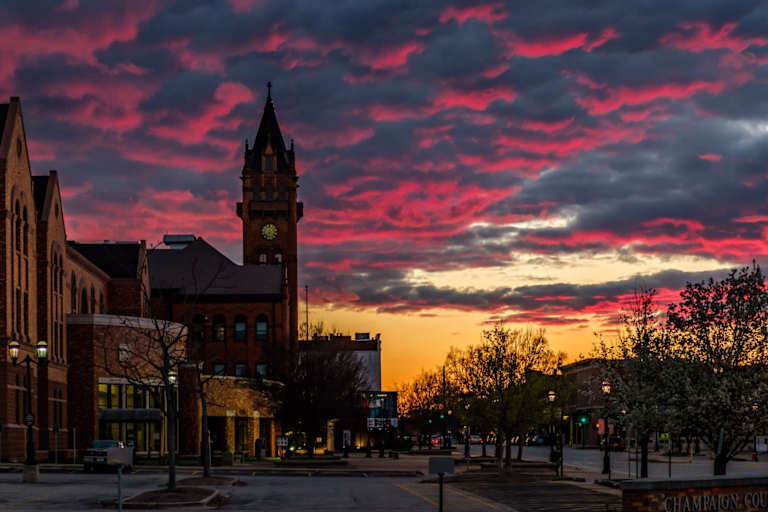 Public Colleges in Illinois: Full List of Schools